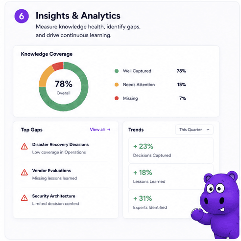 Insights & Analytics
